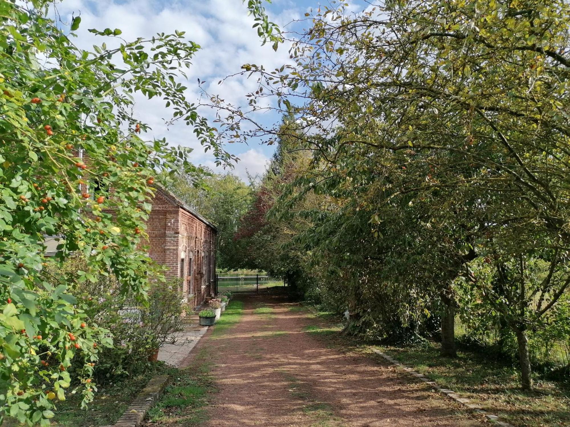 Les Rues-des-Vignes La Chaumiere Du Tordoir Bed & Breakfast エクステリア 写真