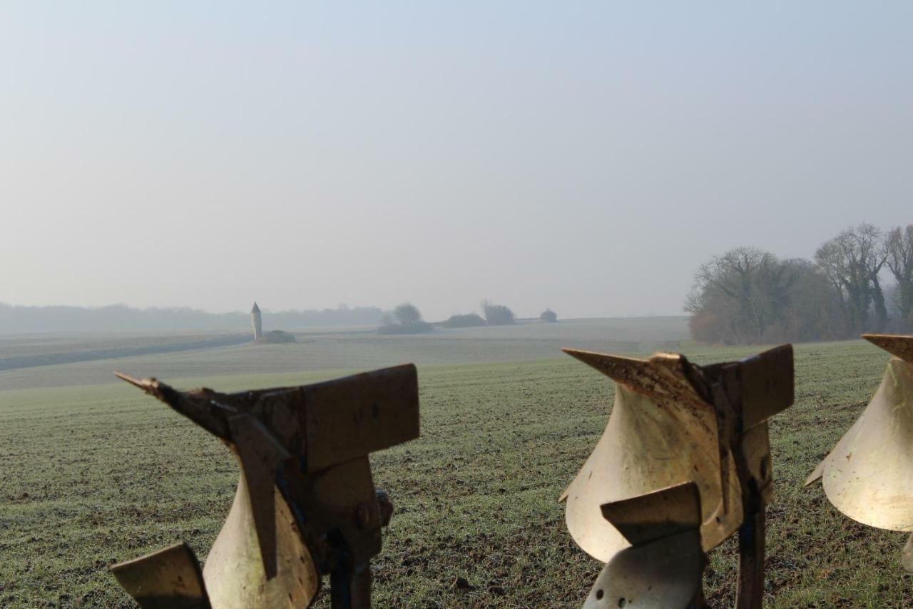 Les Rues-des-Vignes La Chaumiere Du Tordoir Bed & Breakfast エクステリア 写真
