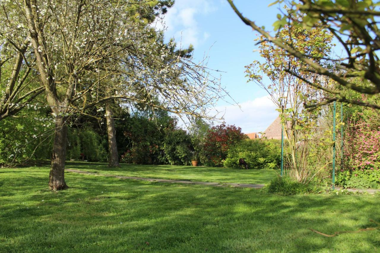 Les Rues-des-Vignes La Chaumiere Du Tordoir Bed & Breakfast エクステリア 写真